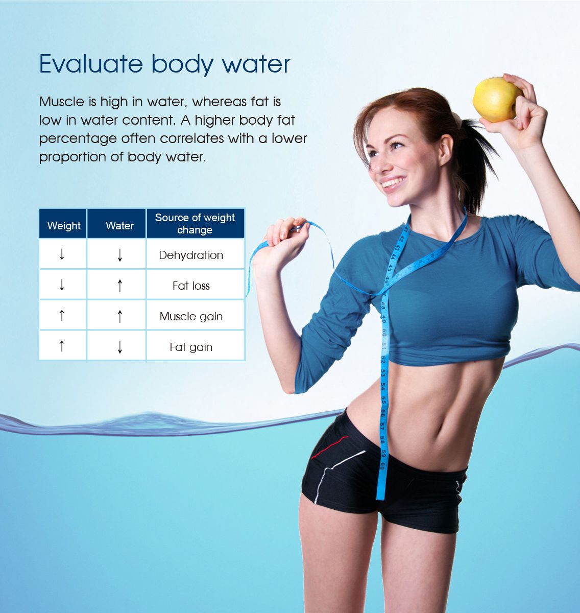 Body Composition Scale with Body Fat, Body Water and Muscle Mass